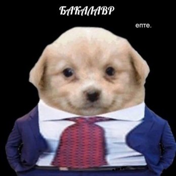 вапвап