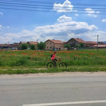 В Нови Саде сделана большая сети велодорожек, спокойно доезжаем практически до границы с Хорватией