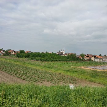 Велопрогулки