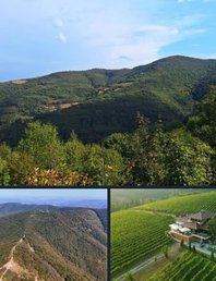 Экспедиция - Рудник и винарија Тарпош