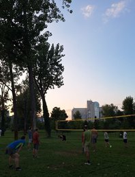 GO Net! Волейбол