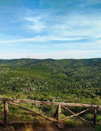 Фрушка гора: поход от Поповицы к Врдничкой куле