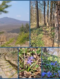 🔥Новый маршрут - Стаза за Кральеву чесму