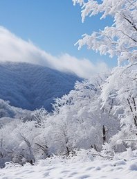 Гуляем по Фрушке горе