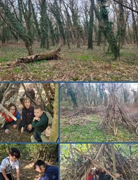 Прогулка со следопытом, Ада Сафари